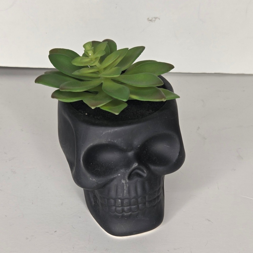 Matte Black Ceramic Skull Planter with Faux Succulent Gothic Halloween Decor